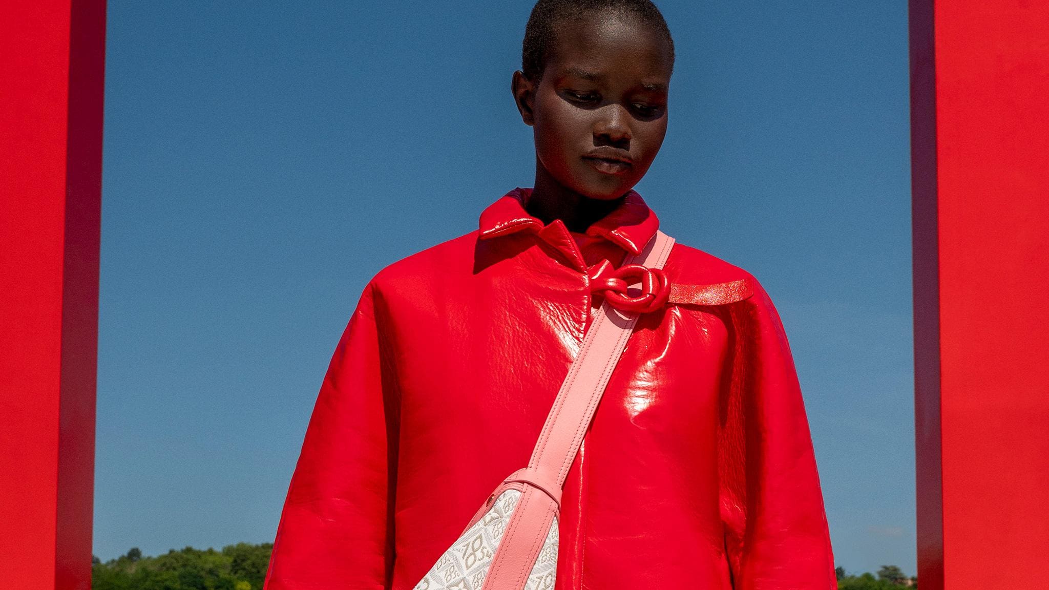 LOUIS VUITTON 2022: le foto delle Borse Louis Vuitton Borse + belle !