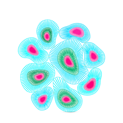 Turchese (Non Disponibile)