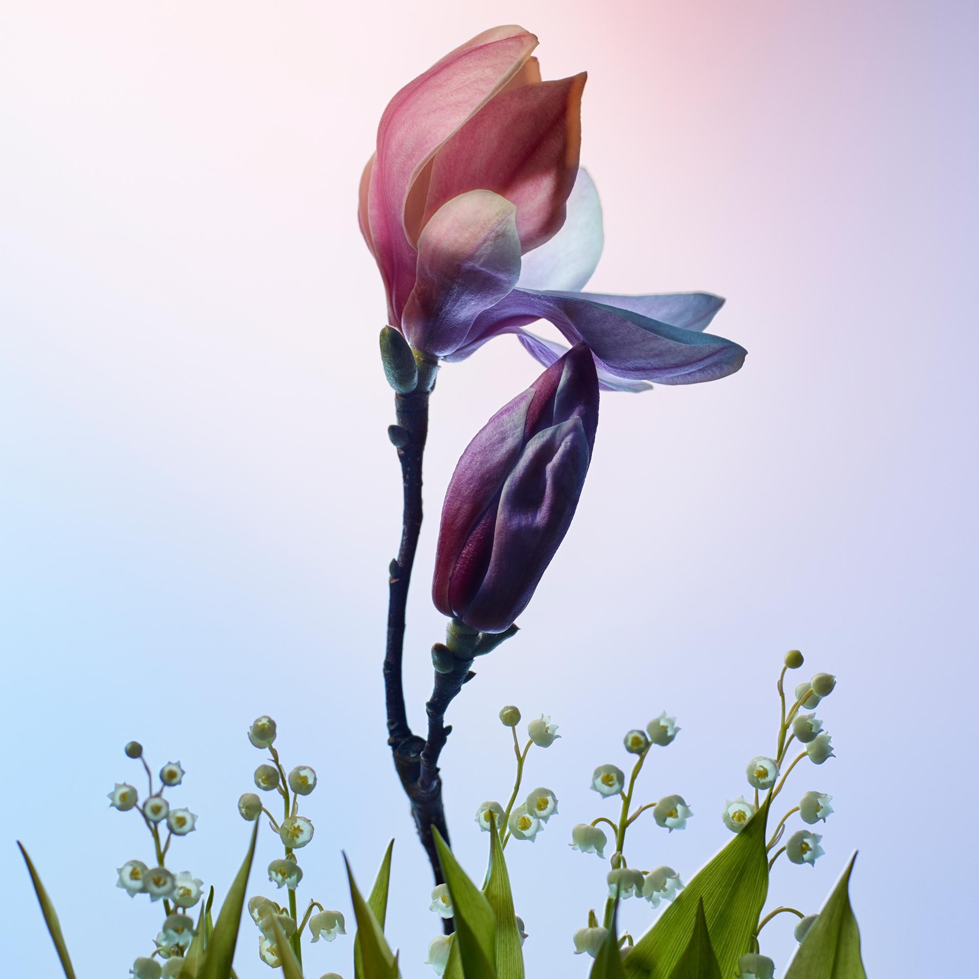 Apogée  Profumi e Beauty Collezioni Fragranze per Lei | LOUIS VUITTON (Zoom prodotto)