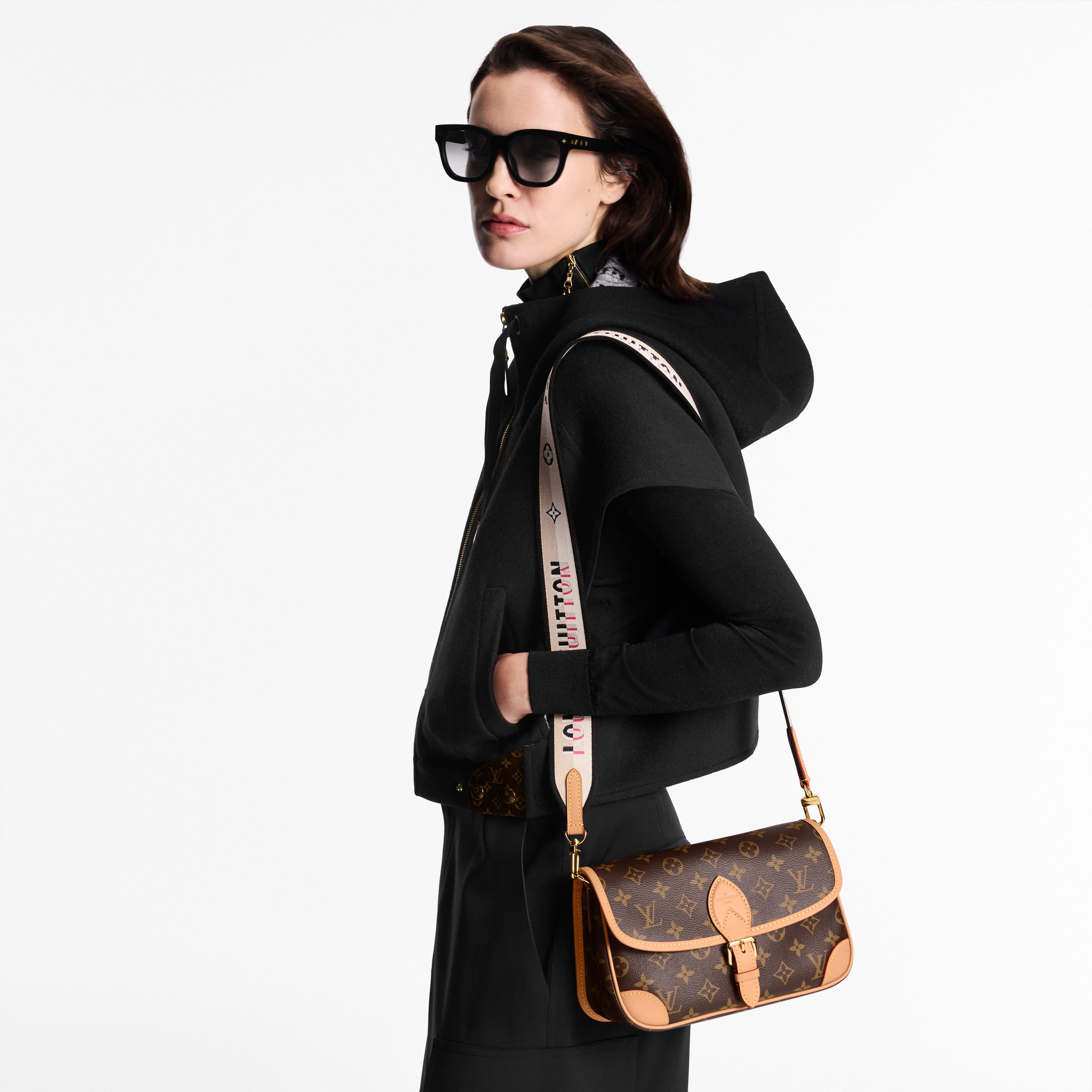 Borsa Diane Tela Monogram Donna Borse da Donna Borse da donna | LOUIS VUITTON (Zoom prodotto)