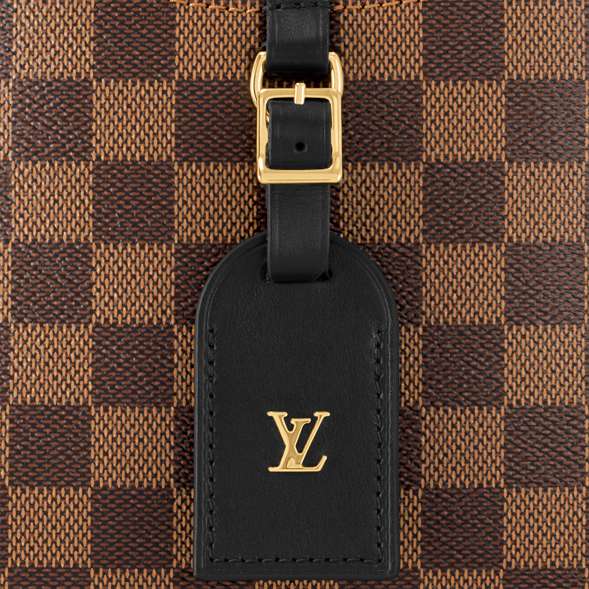 LOUIS VUITTON ODÉON TOTE PM