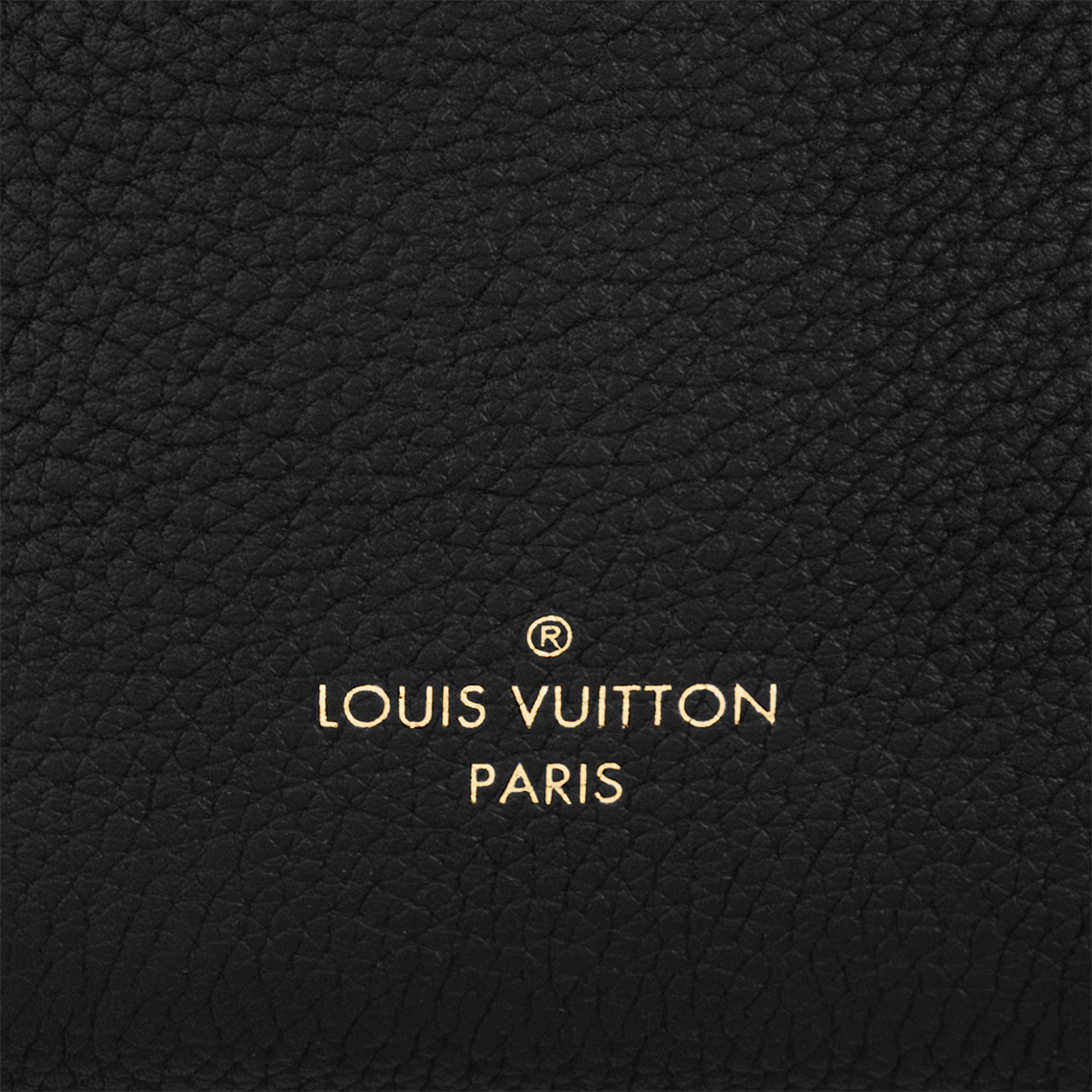 Borsa Side Trunk PM Fashion Leather Donna Borse da Donna Tutte le collezioni | LOUIS VUITTON (Zoom prodotto)