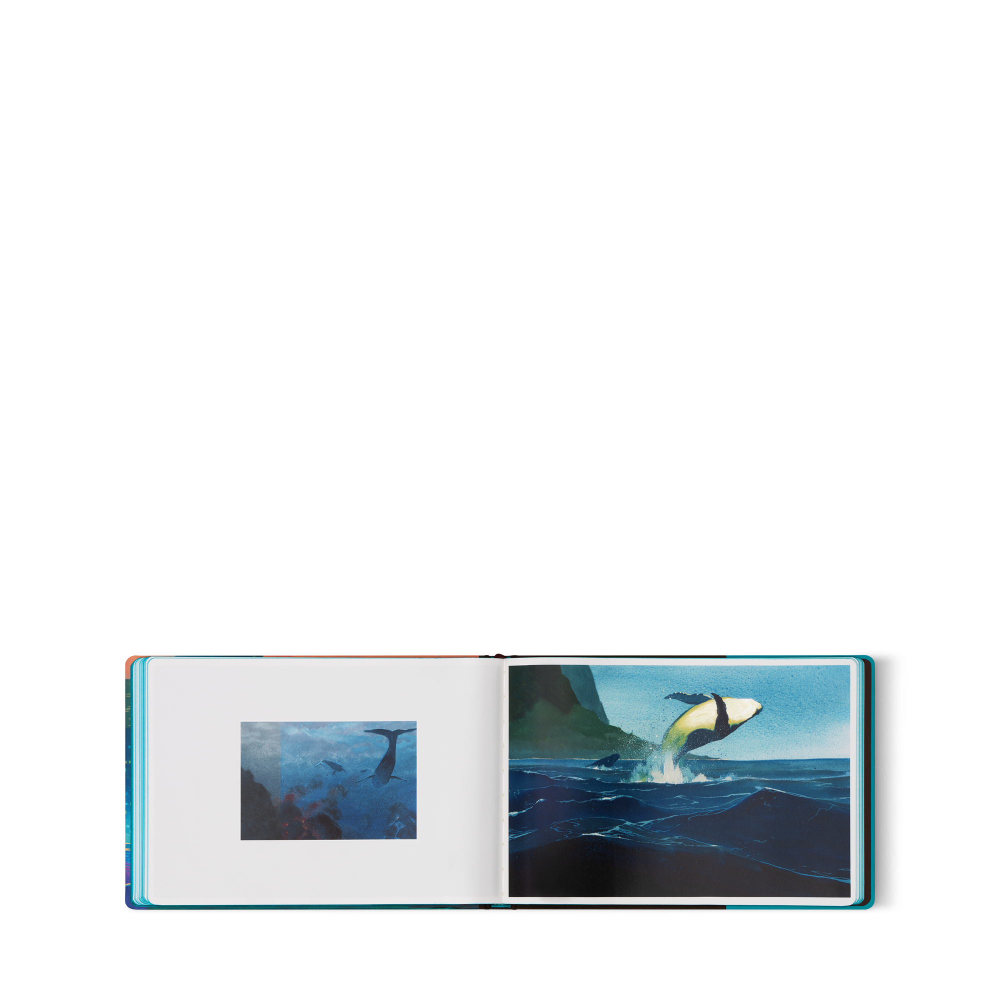Carnet de voyage Hawaii  Bauli, Viaggio e Casa Libri Travel Book | LOUIS VUITTON (Zoom prodotto)