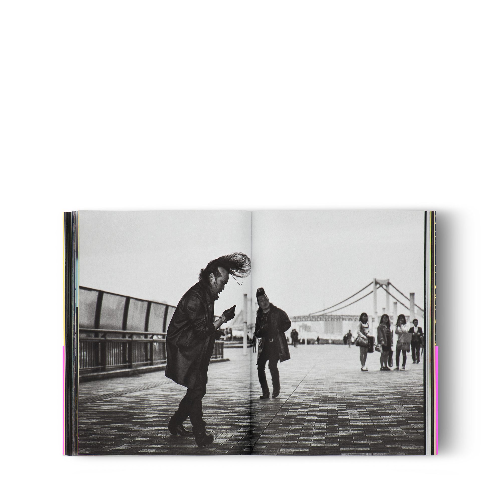 Cities on Earth  Bauli, Viaggio e Casa Libri City Guide | LOUIS VUITTON (Zoom prodotto)