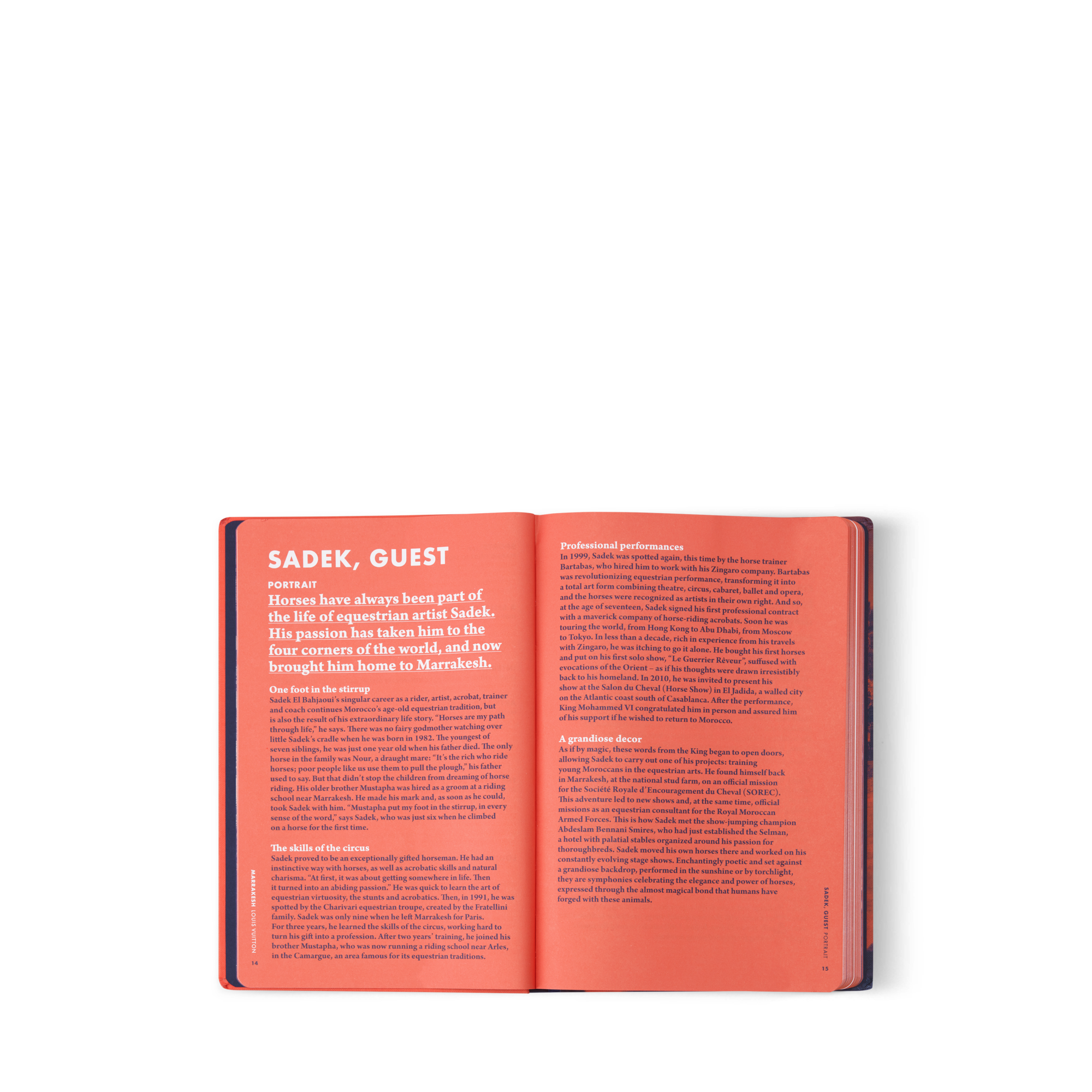 City Guide Marrakesh  Bauli, Viaggio e Casa Libri City Guide | LOUIS VUITTON (Zoom prodotto)