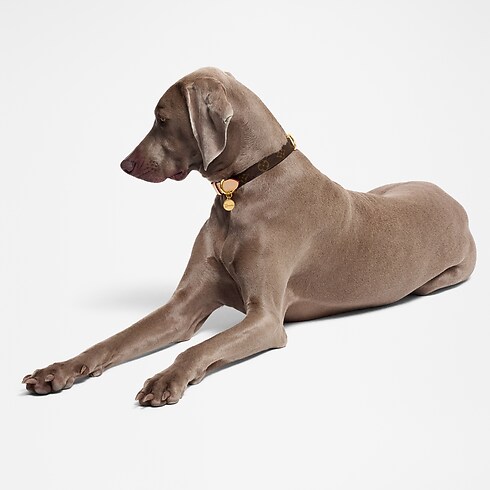 Collare MM Bauli, Viaggio e Casa Accessori per Animali } | LOUIS VUITTON (Zoom prodotto)