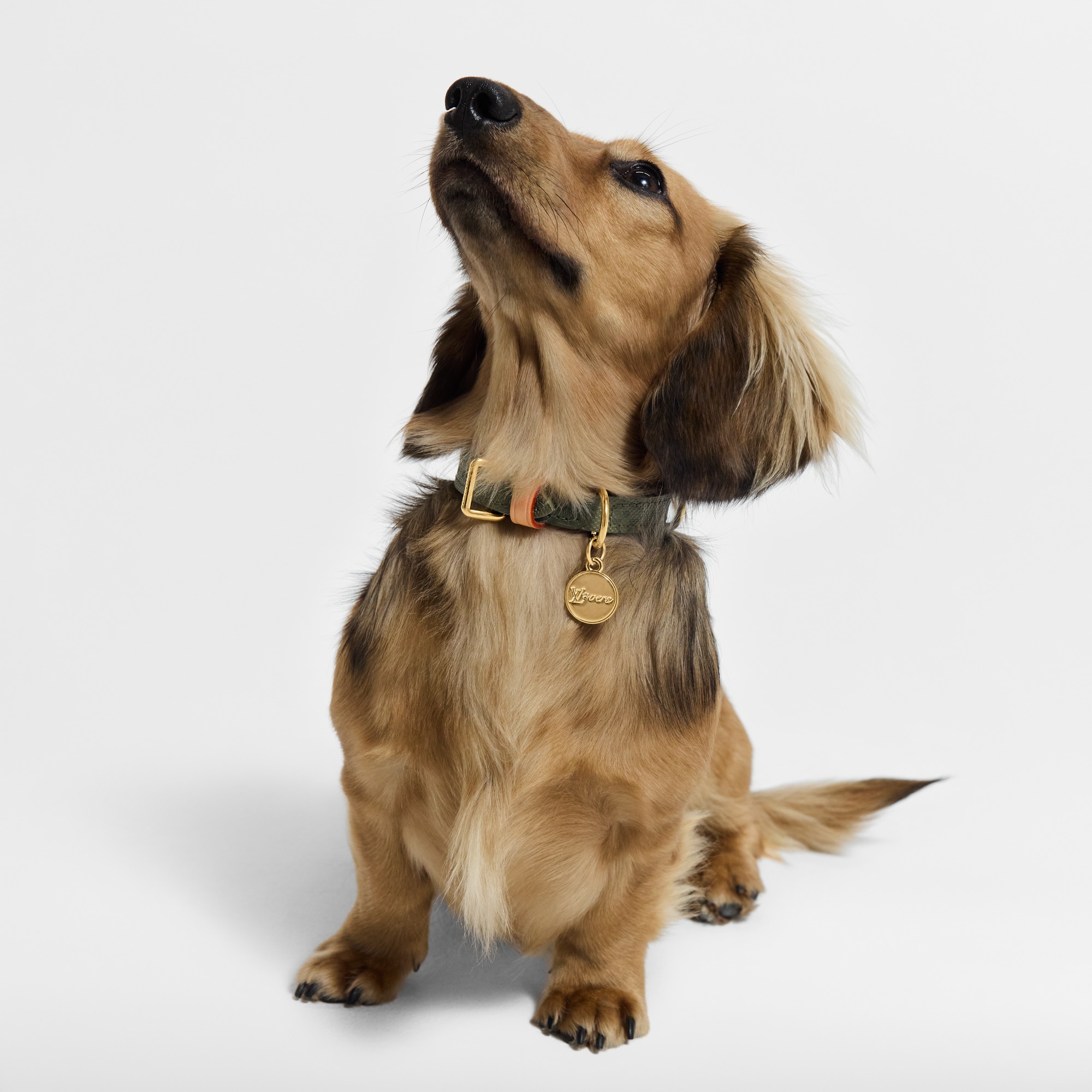 Collare XS S00 Bauli, Viaggio e Casa Accessori per Animali } | LOUIS VUITTON (Zoom prodotto)