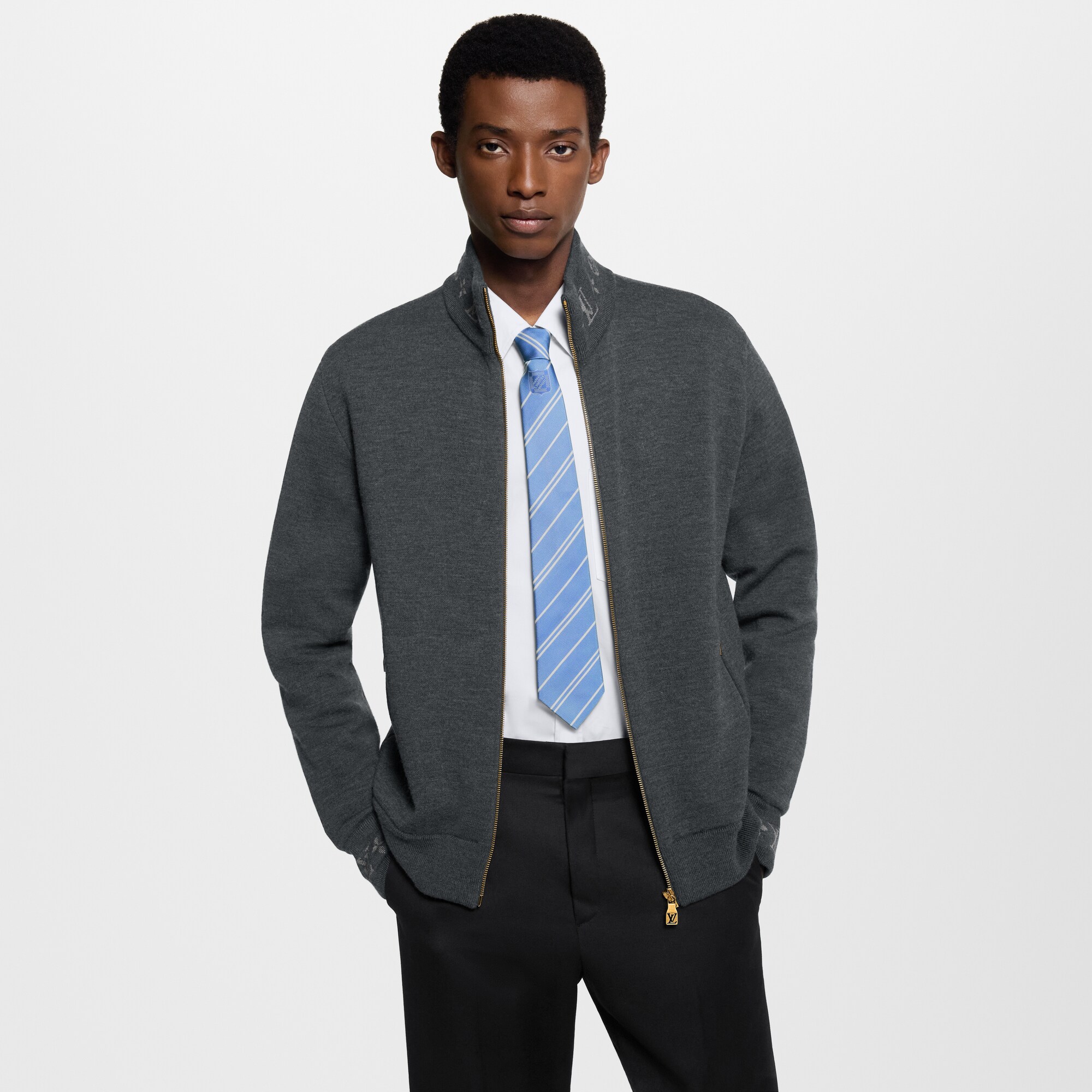 Cravatta Ecu Stripes S00 Uomo Accessori Cravatte e Fazzoletti da Taschino | LOUIS VUITTON (Zoom prodotto)
