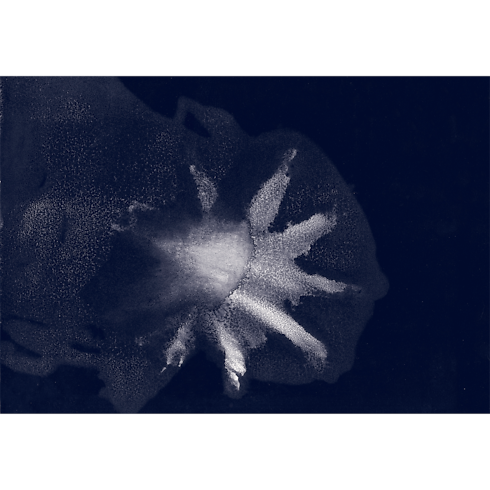 Edizione da collezione Travel Book Mar Mediterraneo Bauli, Viaggio e Casa Libri Travel Book | LOUIS VUITTON (Zoom prodotto)