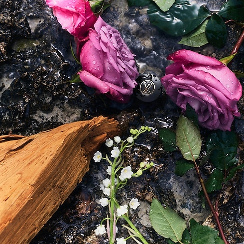 eLVes Louis Vuitton Profumi e Beauty Tutte le fragranze } | LOUIS VUITTON (Zoom prodotto)