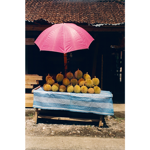 Fashion Eye Bali Bauli, Viaggio e Casa Libri Fashion Eye | LOUIS VUITTON (Zoom prodotto)