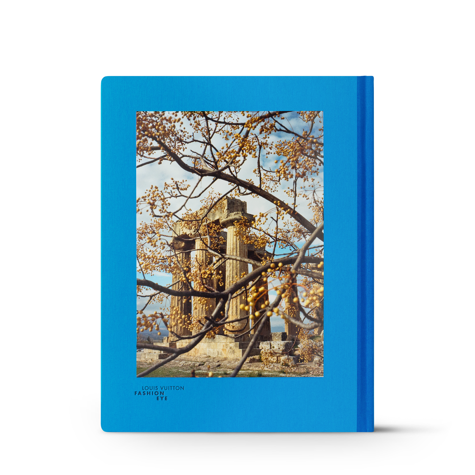 Fashion Eye Greece  Bauli, Viaggio e Casa Libri Fashion Eye | LOUIS VUITTON (Zoom prodotto)