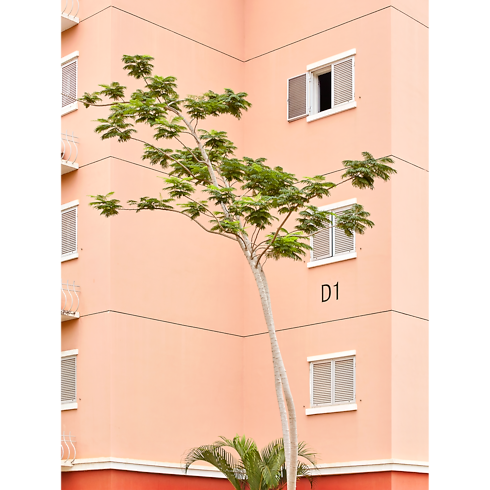 Fashion Eye Kilamba Bauli, Viaggio e Casa Libri Fashion Eye | LOUIS VUITTON (Zoom prodotto)