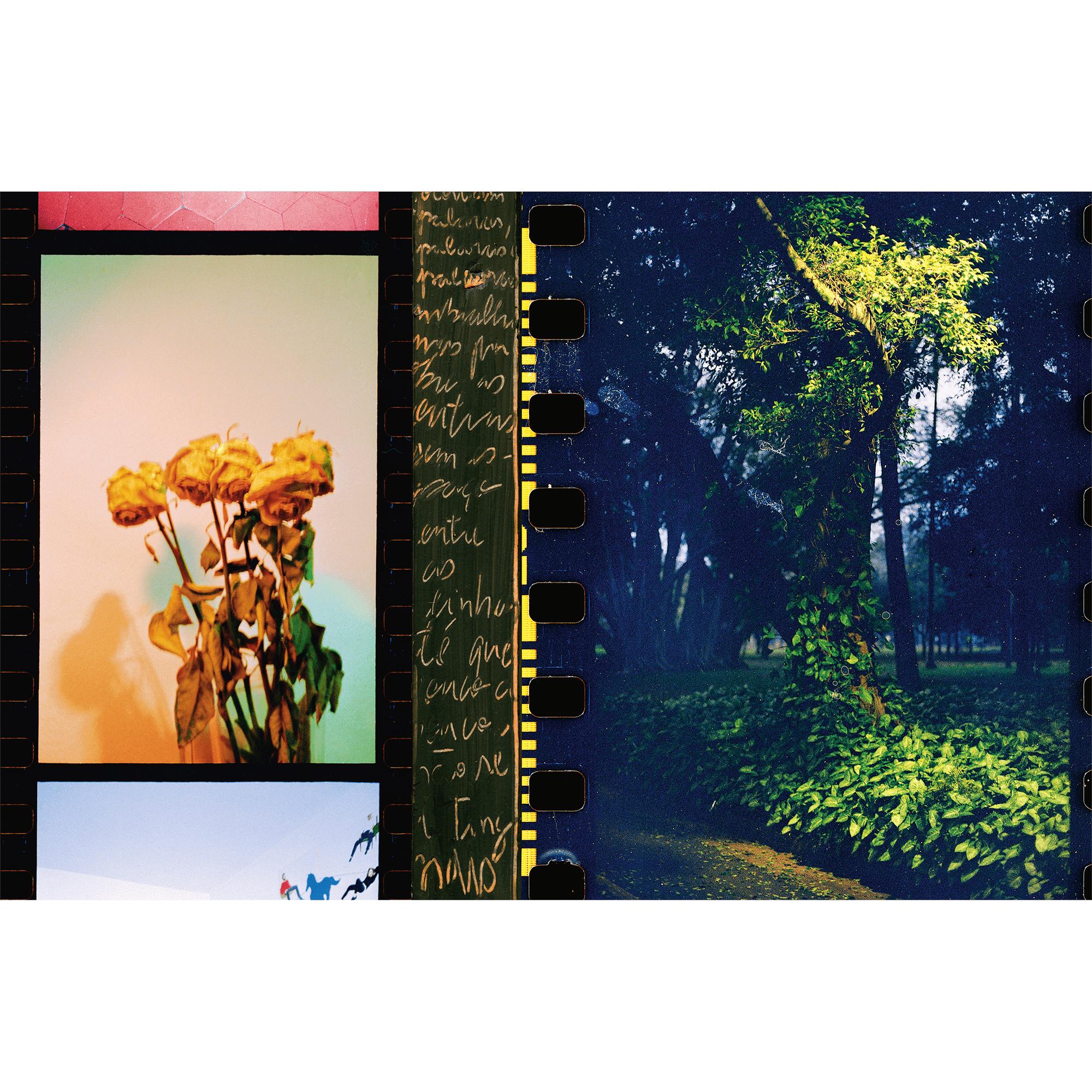 Fashion Eye São Paulo  Bauli, Viaggio e Casa Libri Fashion Eye | LOUIS VUITTON (Zoom prodotto)