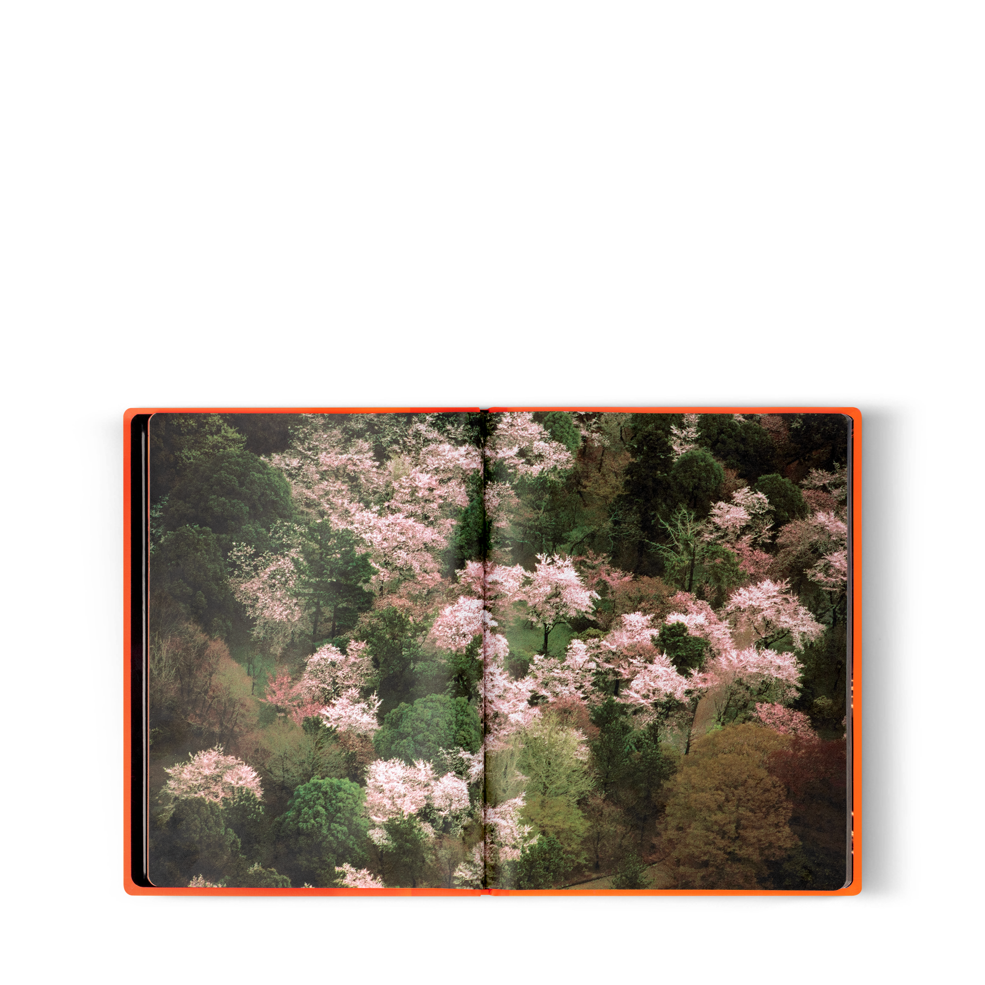 Fashion Eye Silk Road  Bauli, Viaggio e Casa Libri Fashion Eye | LOUIS VUITTON (Zoom prodotto)