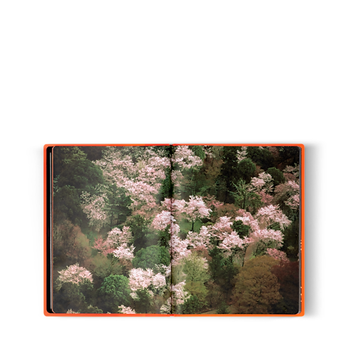 Fashion Eye Silk Road Bauli, Viaggio e Casa Libri Fashion Eye | LOUIS VUITTON (Zoom prodotto)