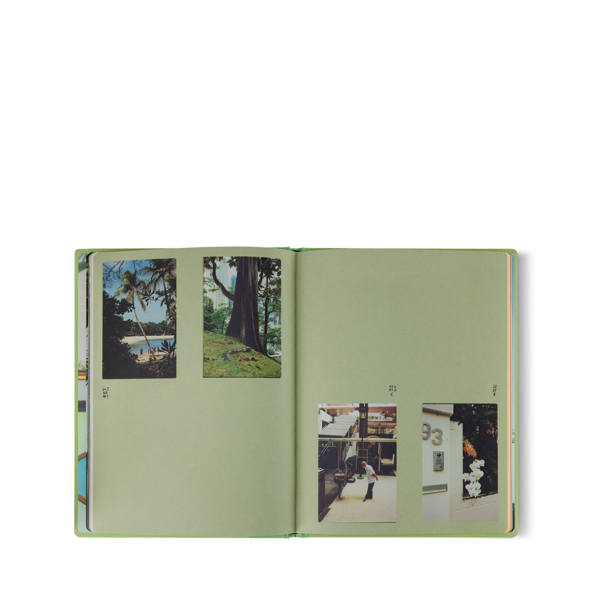 Fashion Eye Singapore  Bauli, Viaggio e Casa Libri Fashion Eye | LOUIS VUITTON (Zoom prodotto)