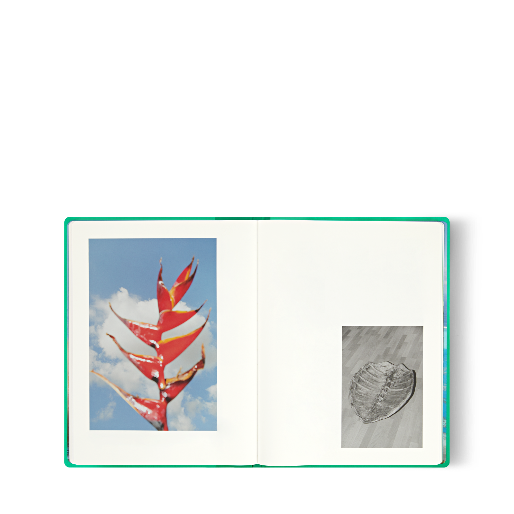 Fashion Eye Tahiti di Jonathan LLense  Bauli, Viaggio e Casa Libri Fashion Eye | LOUIS VUITTON (Zoom prodotto)