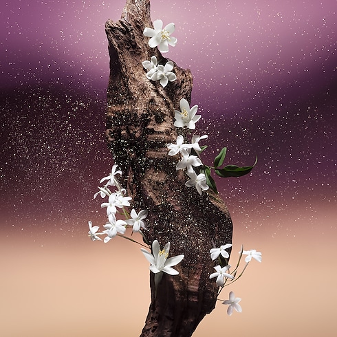 Fleur du Désert Profumi e Beauty Collezioni Fragranze per Lui | LOUIS VUITTON (Zoom prodotto)