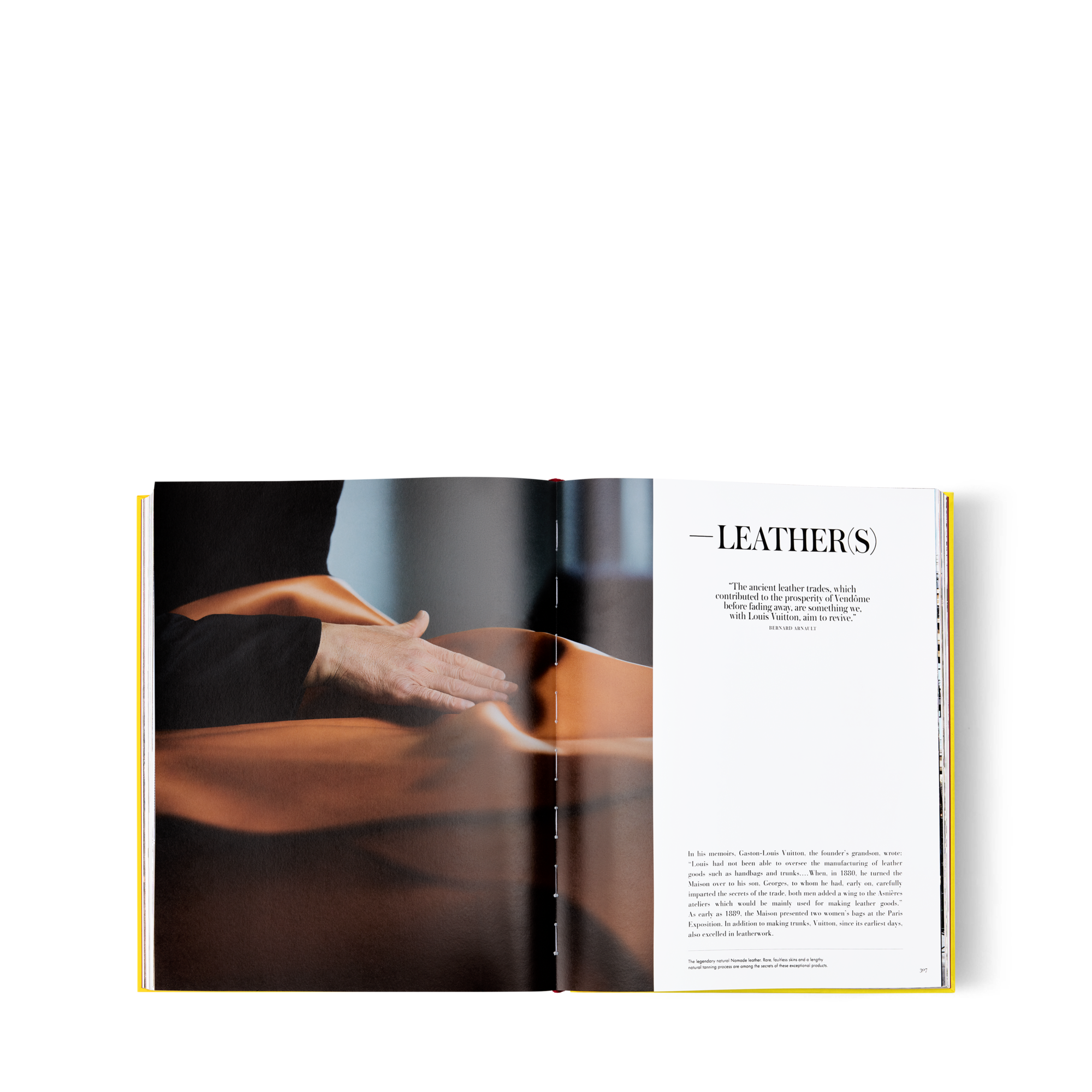 From Louis to Vuitton  Bauli, Viaggio e Casa Libri Libri dalla copertina rigida | LOUIS VUITTON (Zoom prodotto)