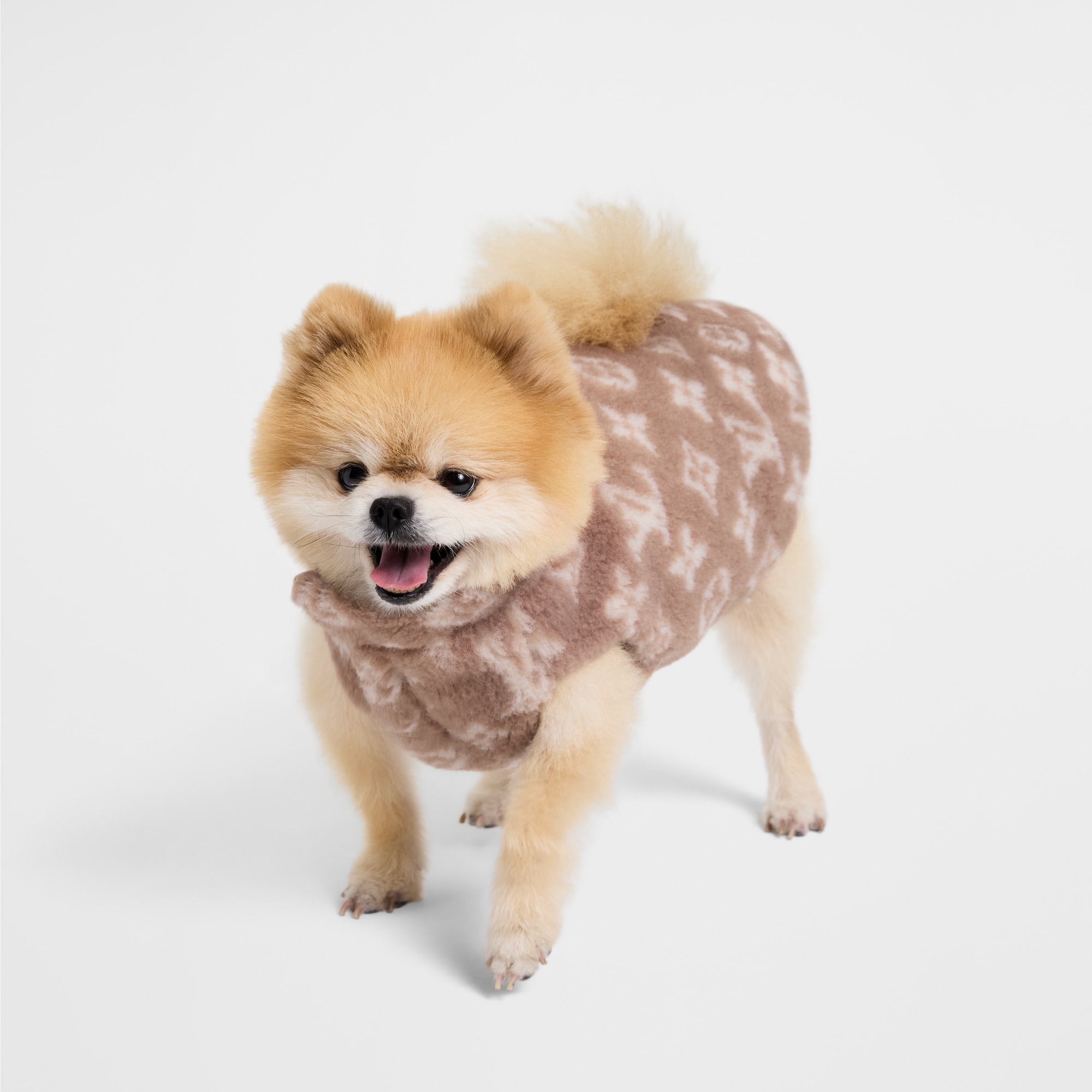 Giacca in pile per cane XS S00 Bauli, Viaggio e Casa Accessori per Animali } | LOUIS VUITTON (Zoom prodotto)