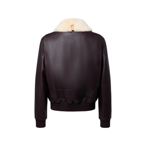 Giubbotto in pelle con colletto in shearling Uomo Abbigliamento Tutti i Capi di Abbigliamento | LOUIS VUITTON (Zoom prodotto)