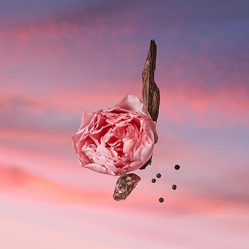 Les Sables Roses Profumi e Beauty Collezioni Fragranze per Lui | LOUIS VUITTON (Zoom prodotto)