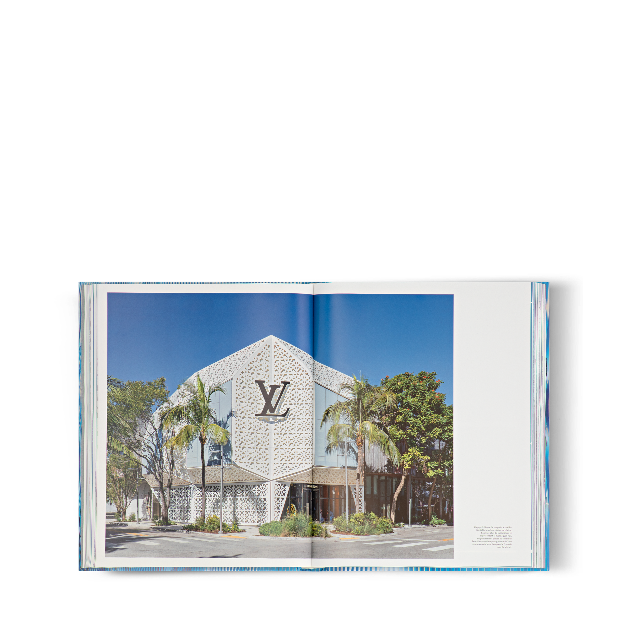 Louis Vuitton Skin: Architecture of Luxury  Bauli, Viaggio e Casa Libri Libri dalla copertina rigida | LOUIS VUITTON (Zoom prodotto)