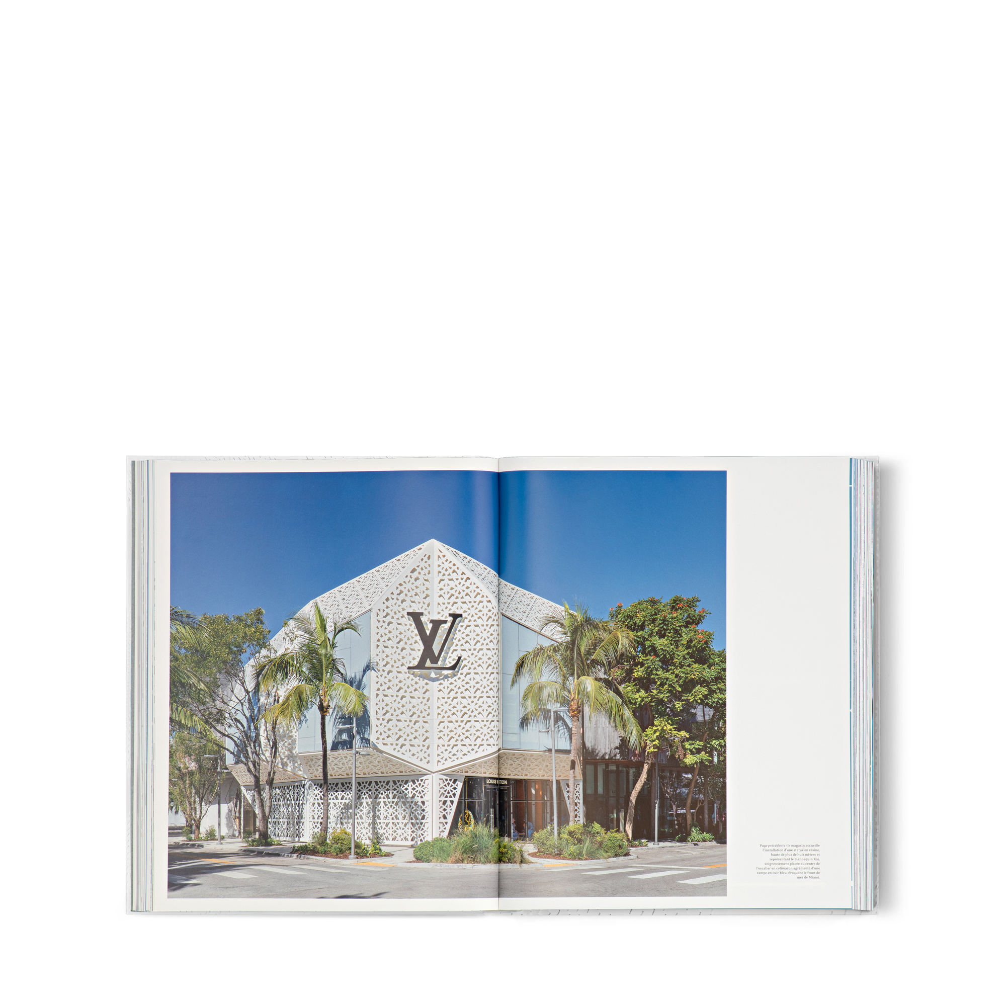 Louis Vuitton Skin: Architecture of Luxury NYC  Bauli, Viaggio e Casa Libri Libri dalla copertina rigida | LOUIS VUITTON (Zoom prodotto)
