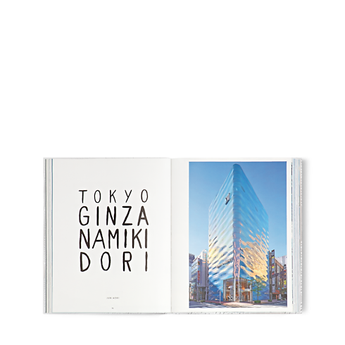 Louis Vuitton Skin: Architecture of Luxury NYC Bauli, Viaggio e Casa Libri Libri dalla copertina rigida | LOUIS VUITTON (Zoom prodotto)