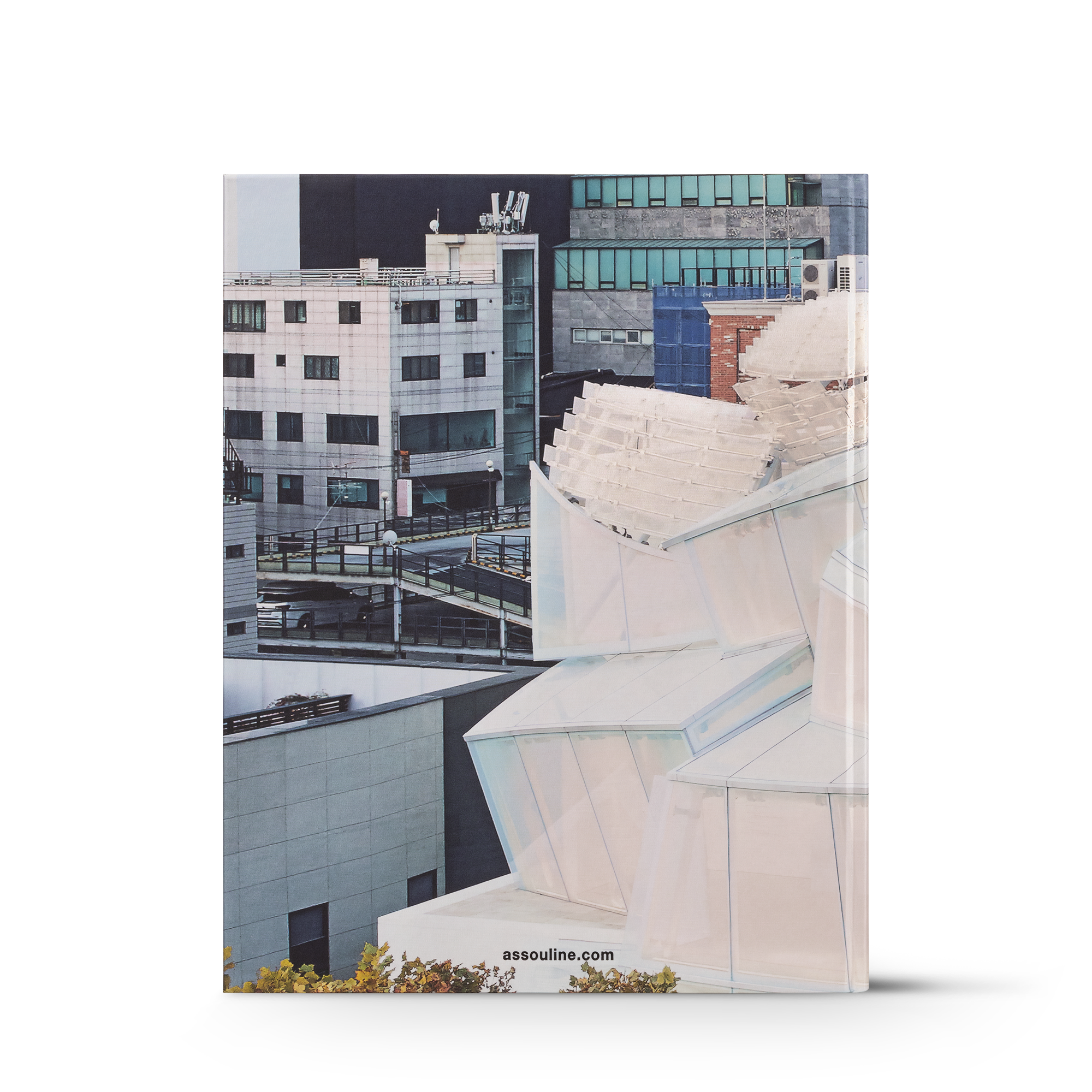 Louis Vuitton Skin: Architecture of Luxury Seul  Bauli, Viaggio e Casa Libri Libri dalla copertina rigida | LOUIS VUITTON (Zoom prodotto)