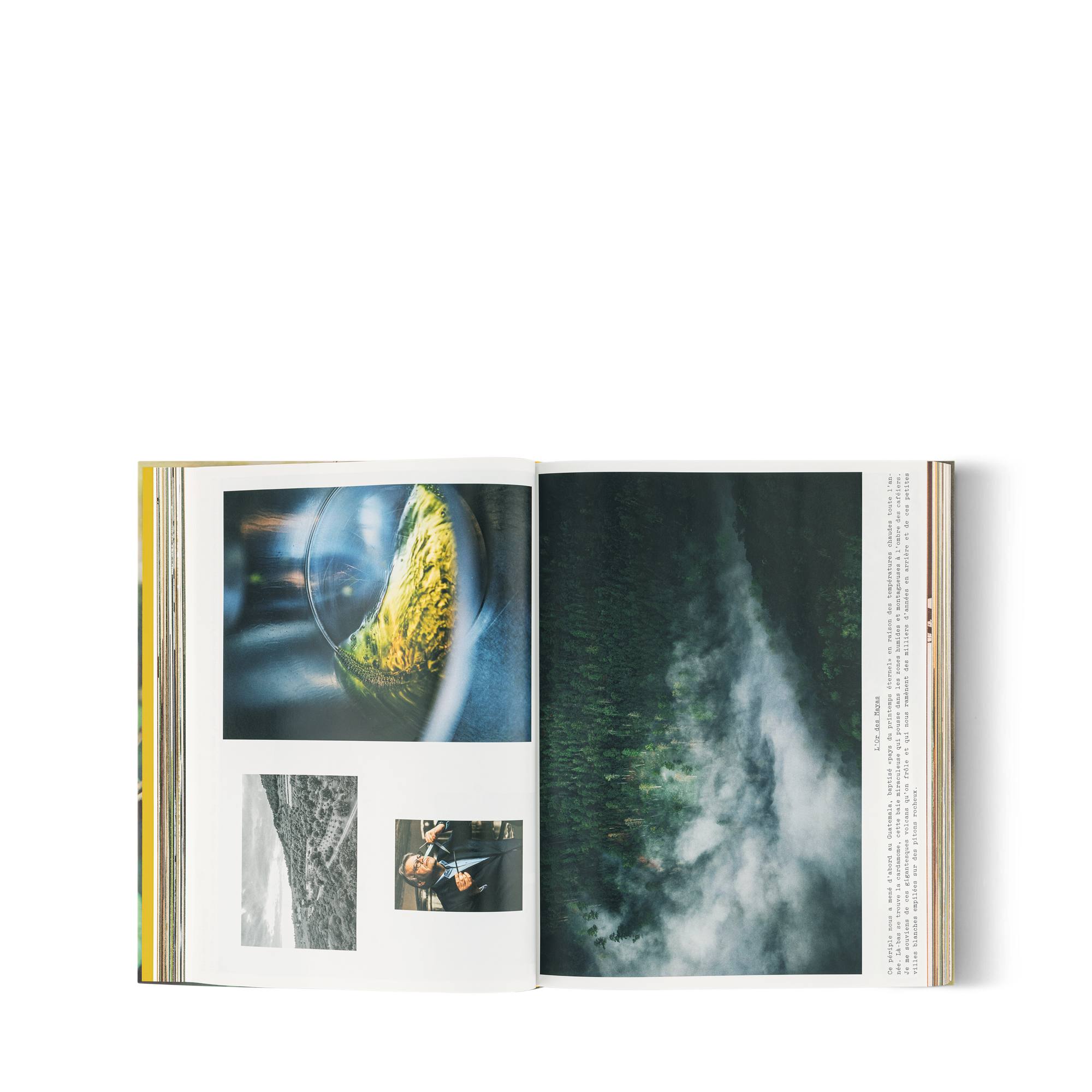Louis Vuitton: A Perfume Atlas, Versione francese  Bauli, Viaggio e Casa Libri Libri dalla copertina rigida | LOUIS VUITTON (Zoom prodotto)