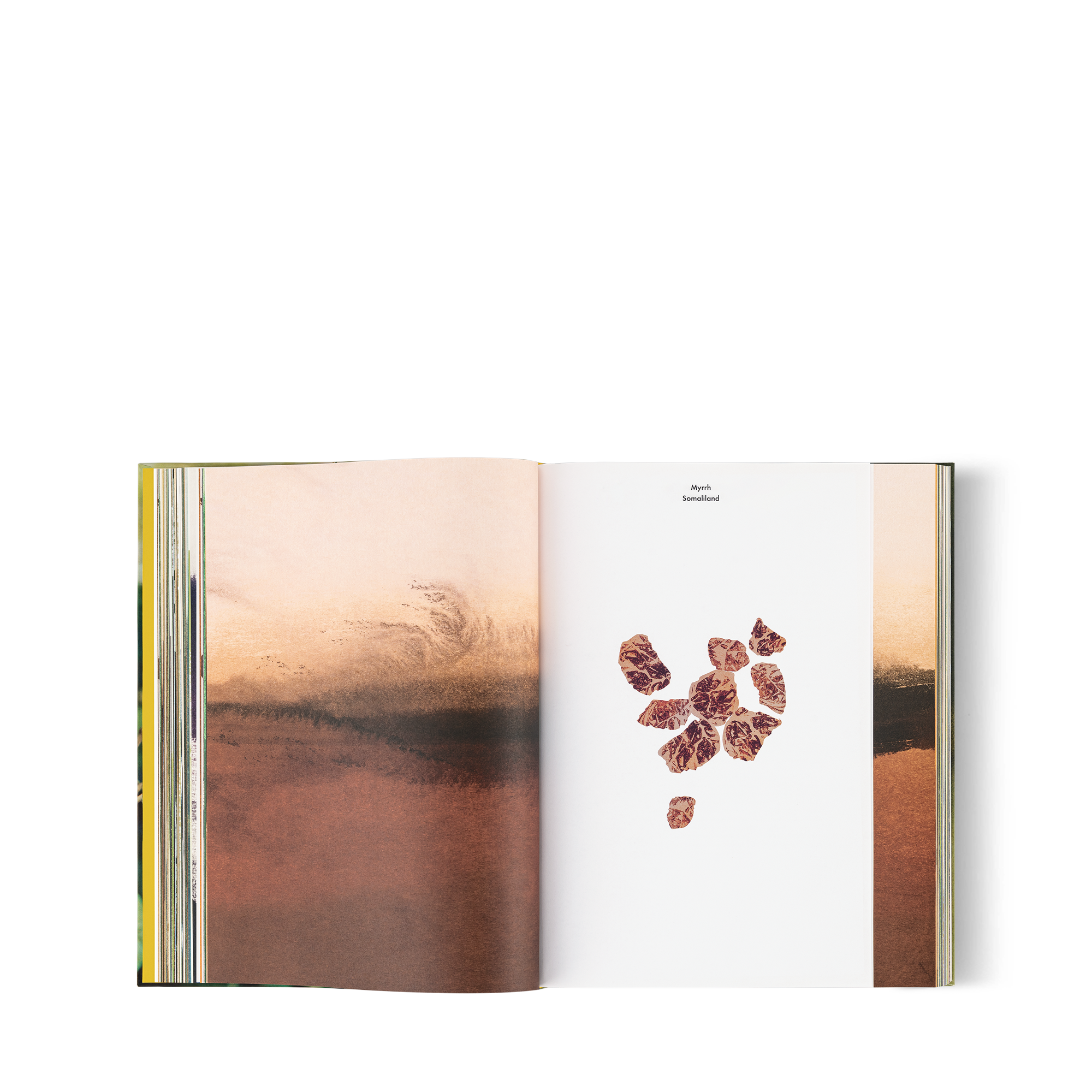 Louis Vuitton: A Perfume Atlas, Versione inglese  Bauli, Viaggio e Casa Libri Libri dalla copertina rigida | LOUIS VUITTON (Zoom prodotto)