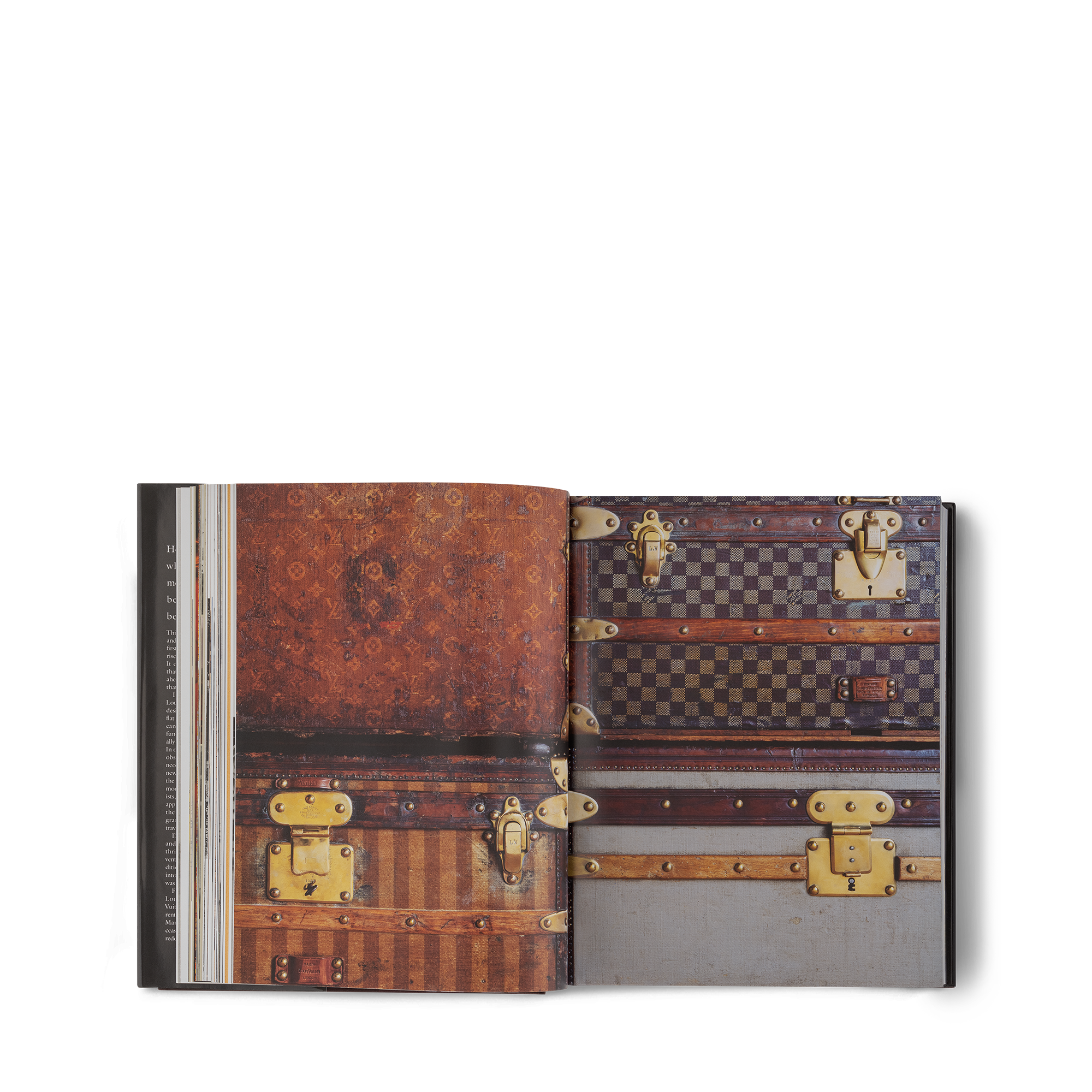 Louis Vuitton: The Birth of Modern Luxury  Bauli, Viaggio e Casa Libri Libri dalla copertina rigida | LOUIS VUITTON (Zoom prodotto)