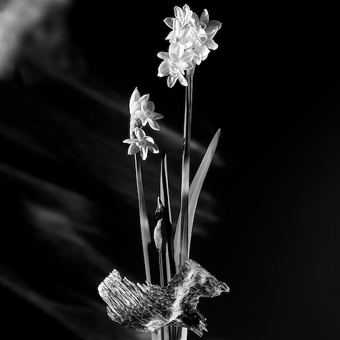 Matière Noire Profumi e Beauty Collezioni Fragranze per Lei | LOUIS VUITTON (Zoom prodotto)