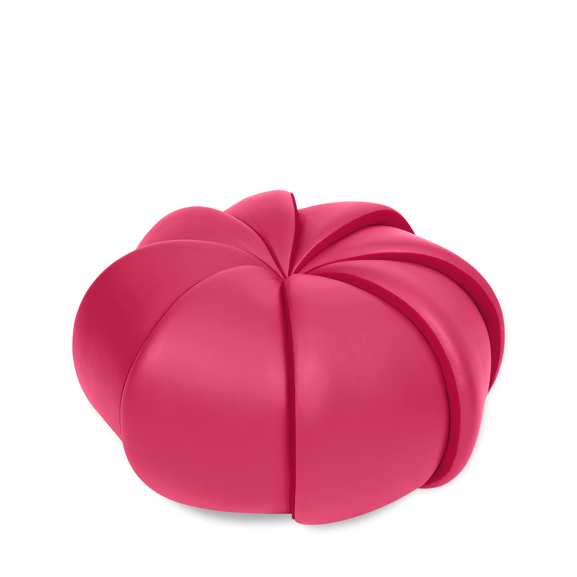 Lampone (Non Disponibile)