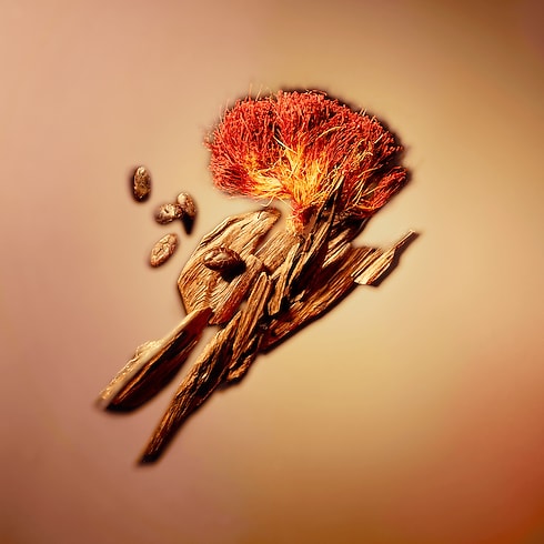 Nouveau Monde Profumi e Beauty Collezioni Fragranze per Lui | LOUIS VUITTON (Zoom prodotto)