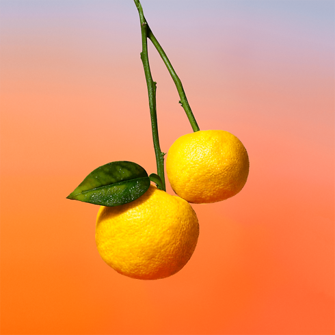 On the Beach Profumi e Beauty Collezioni Fragranze per Lui | LOUIS VUITTON (Zoom prodotto)