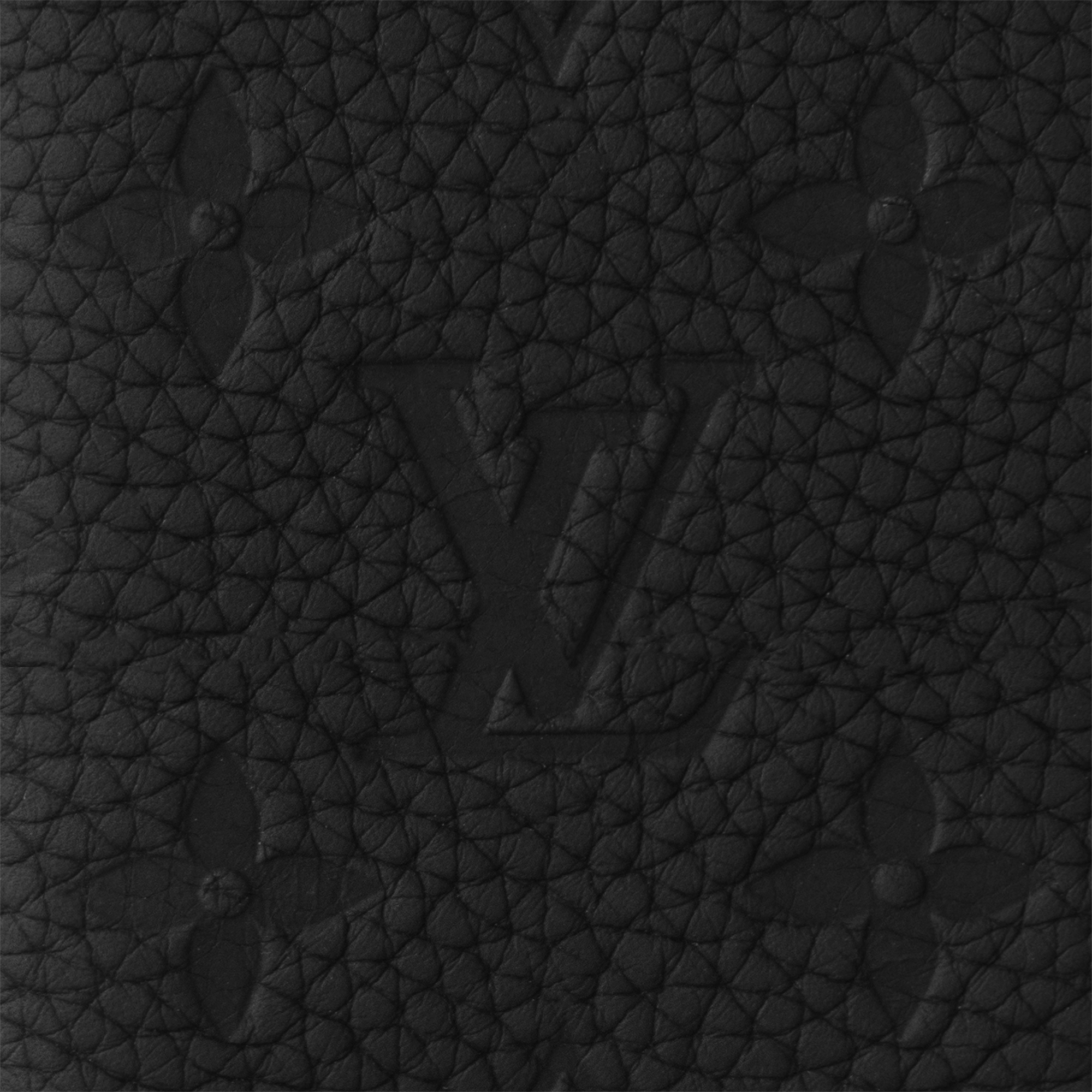 Organizer tascabile Monogram in pelle Taurillon Borse e Piccola Pelletteria Piccola Pelletteria da Uomo Portacarte | LOUIS VUITTON (Zoom prodotto)