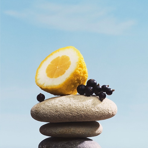 Pacific Chill Profumi e Beauty Collezioni Fragranze per Lui | LOUIS VUITTON (Zoom prodotto)