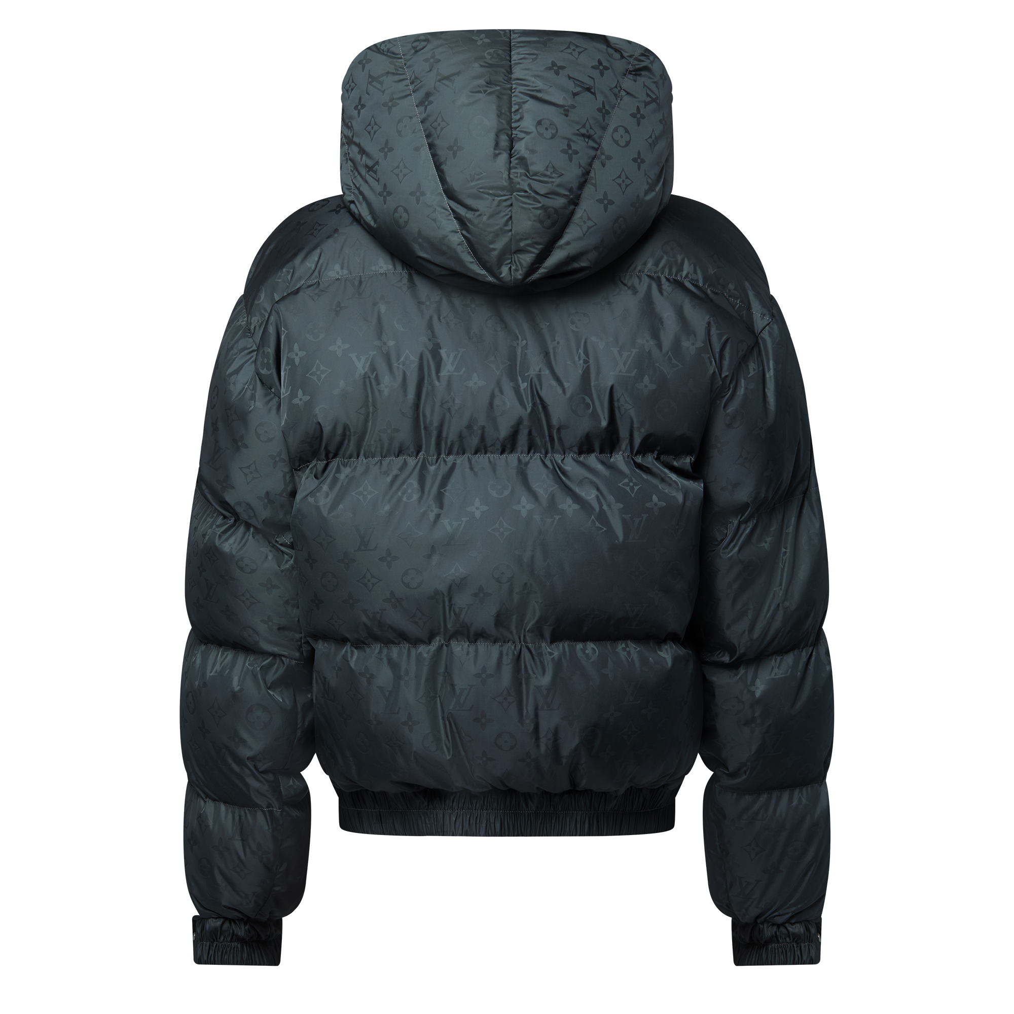 Piumino con motivo Monogram  Uomo Abbigliamento Capispalla e Cappotti | LOUIS VUITTON (Zoom prodotto)