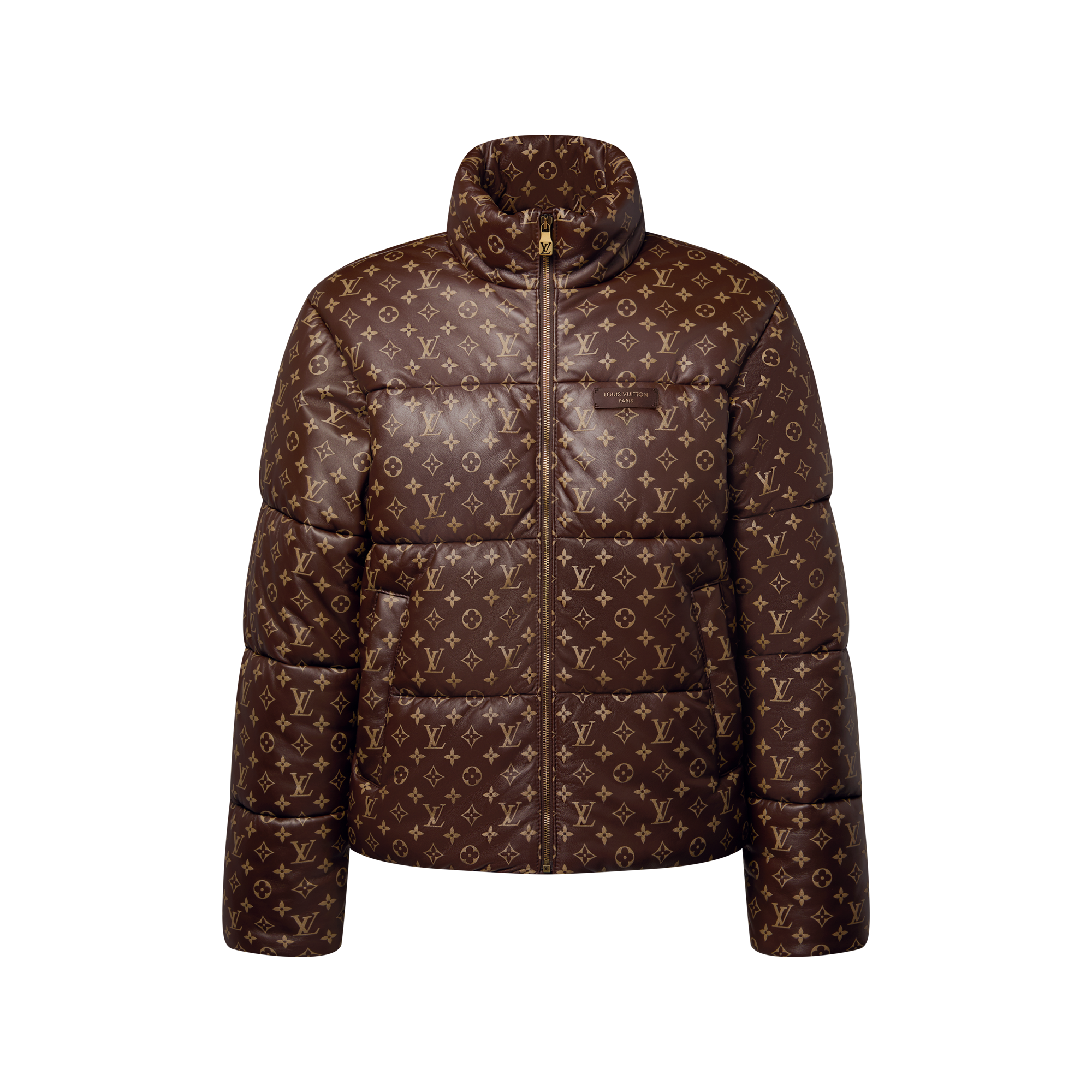 Faszinierend Louis Vuitton Winterjacke Herren Ebenbild