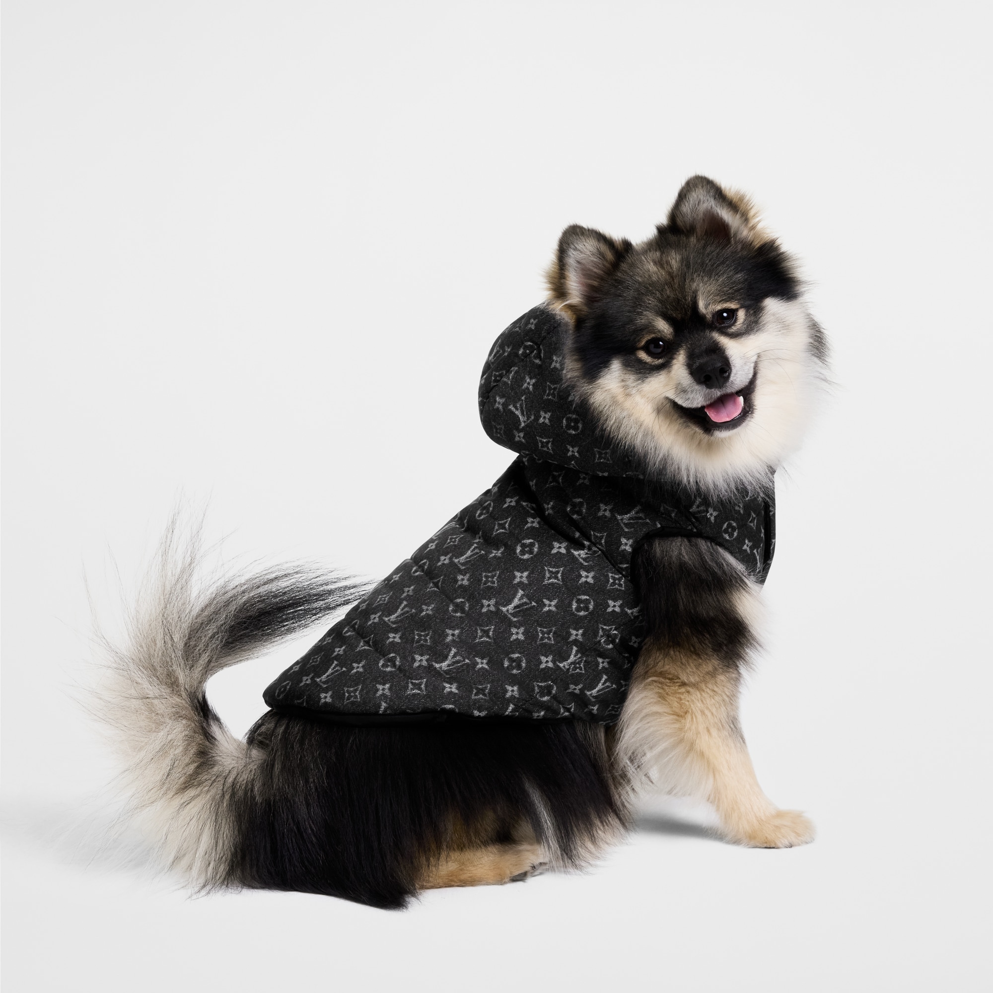 Piumino per cane PM S00 Bauli, Viaggio e Casa Accessori per Animali } | LOUIS VUITTON (Zoom prodotto)