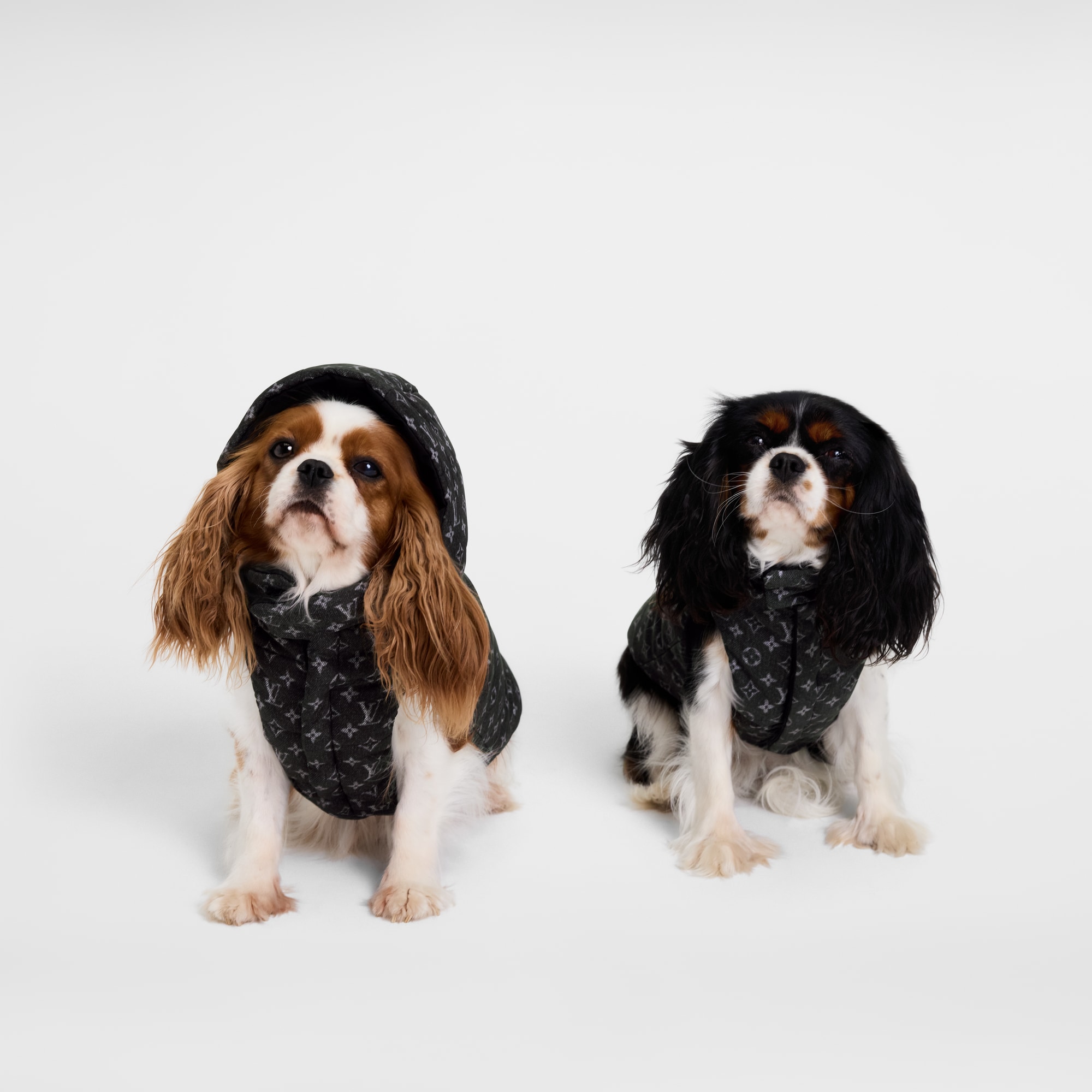 Piumino per cane XS S00 Bauli, Viaggio e Casa Accessori per Animali } | LOUIS VUITTON (Zoom prodotto)