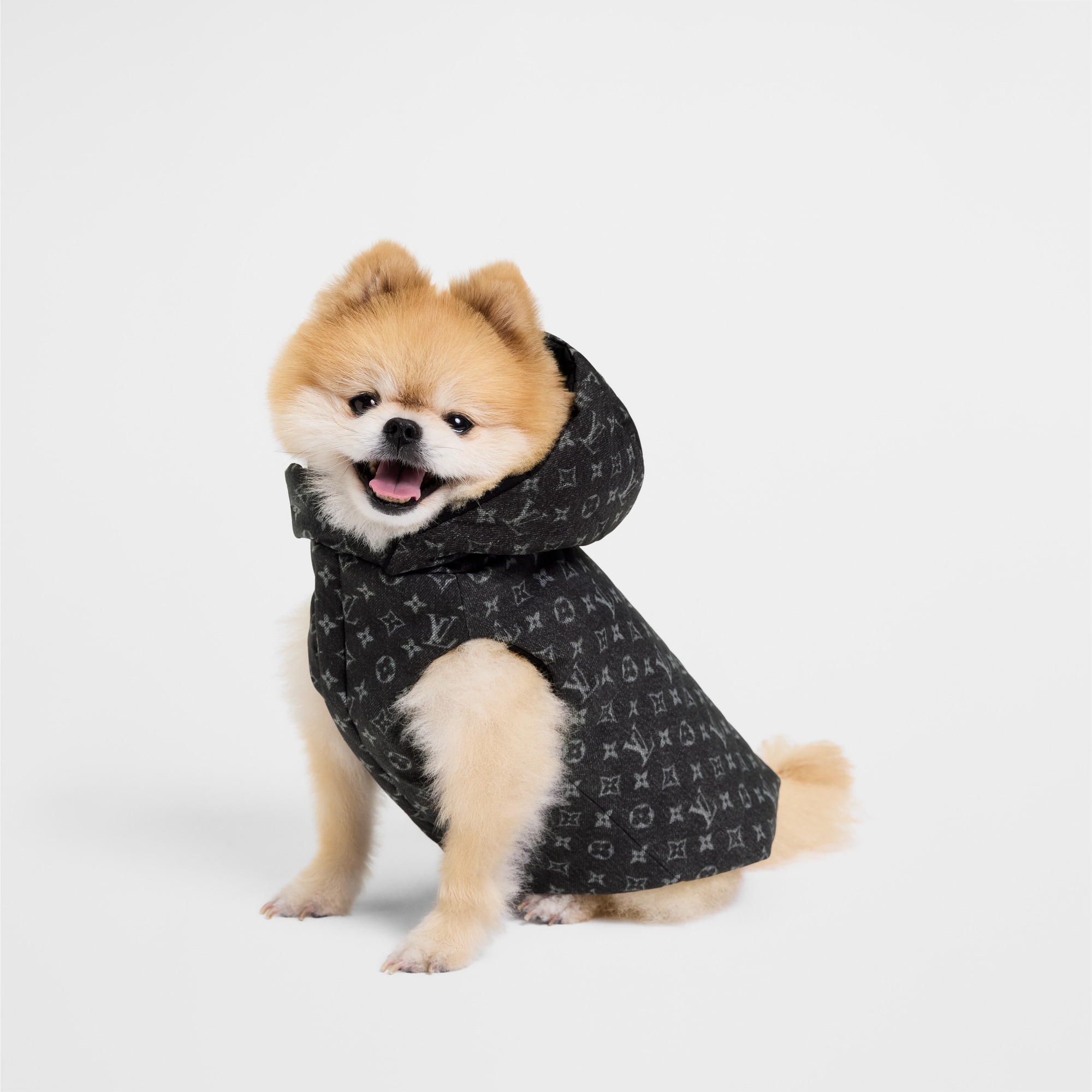 Piumino per cane XS S00 Bauli, Viaggio e Casa Accessori per Animali } | LOUIS VUITTON (Zoom prodotto)