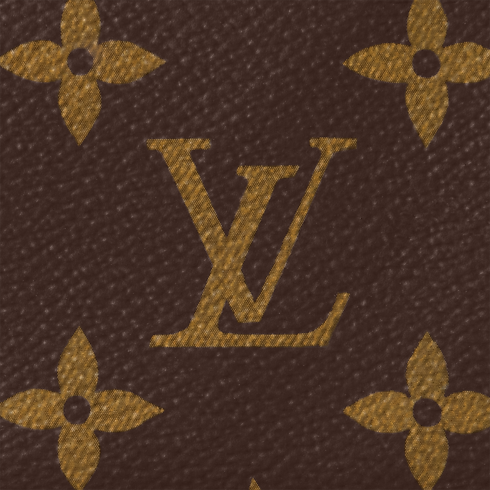 Pochette con catenella Tela Monogram Donna Portafogli e Piccola Pelletteria Tutti i Portafogli e Piccola Pelletteria | LOUIS VUITTON (Zoom prodotto)