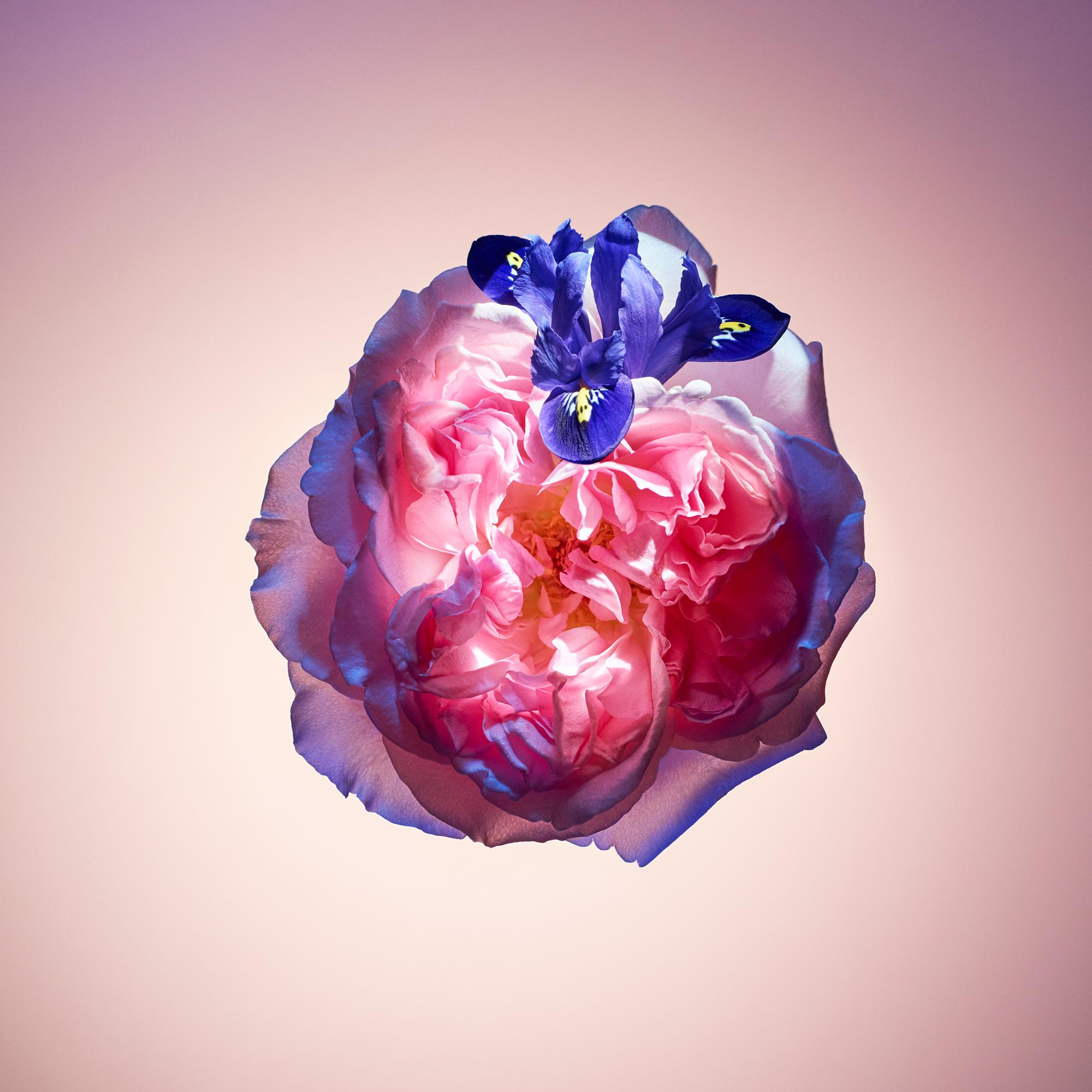 Ricarica Spray da viaggio Rose des Vents  Profumi e Beauty Collezioni Viaggio | LOUIS VUITTON (Zoom prodotto)