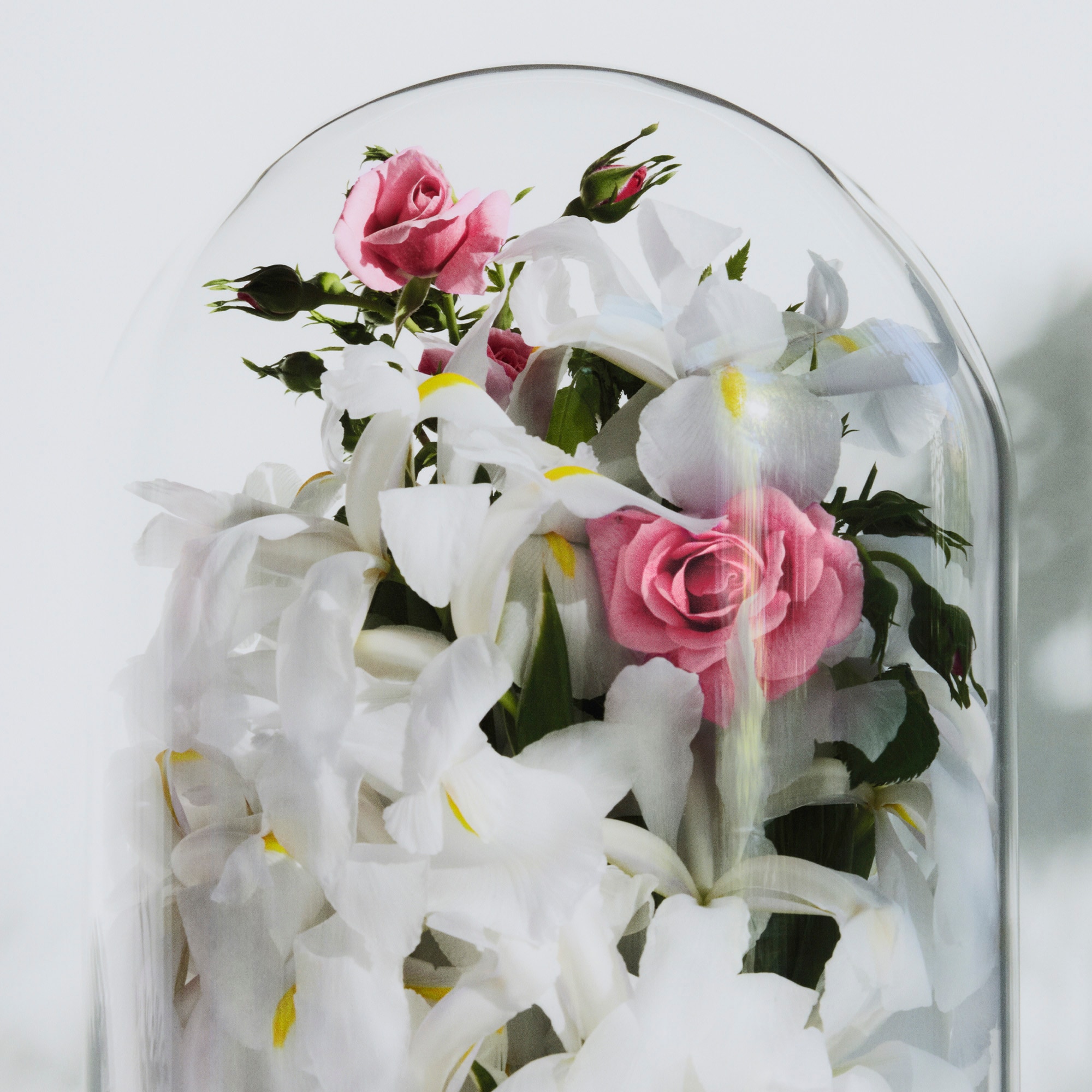 Spell on You  Profumi e Beauty Collezioni Fragranze per Lei | LOUIS VUITTON (Zoom prodotto)