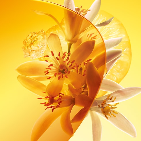 Sun Song Profumi e Beauty Collezioni Fragranze per Lui | LOUIS VUITTON (Zoom prodotto)