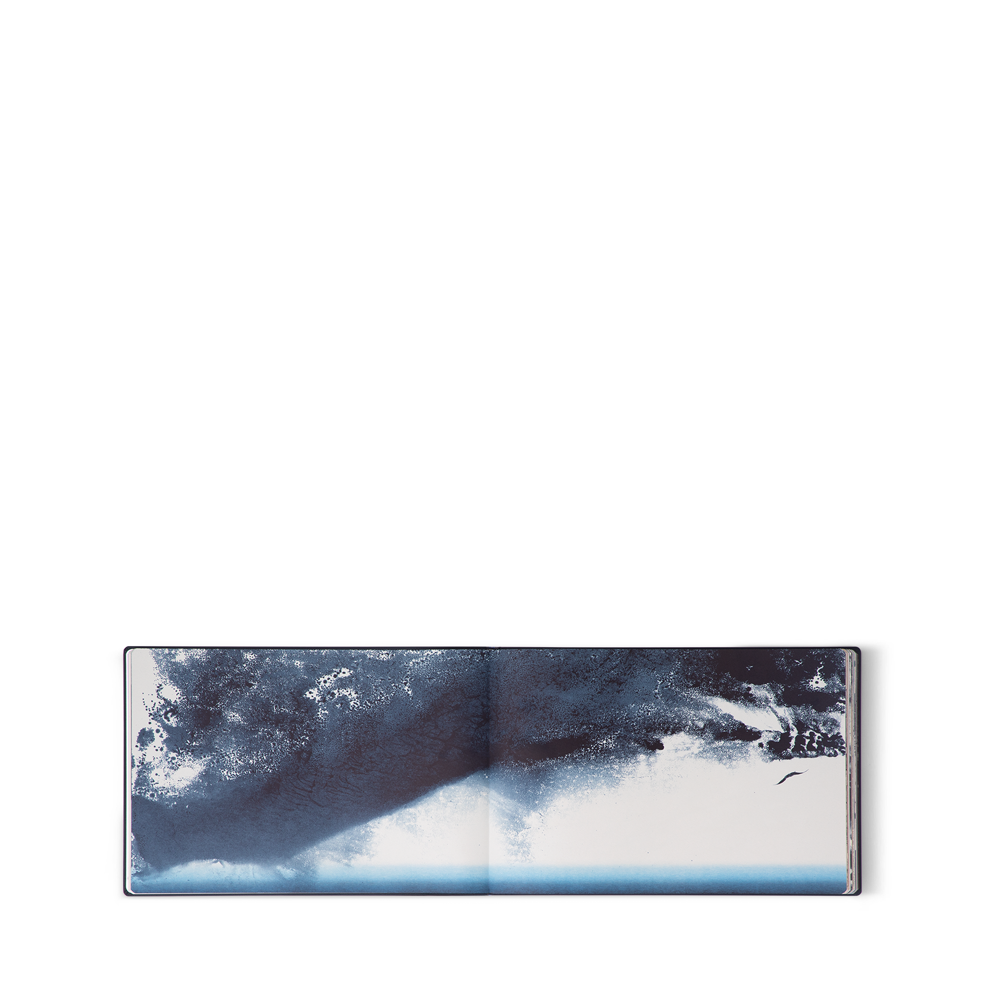 Travel Book Mar Mediterraneo, Artist